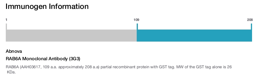 RAB6A Monoclonal Antibody (3G3)