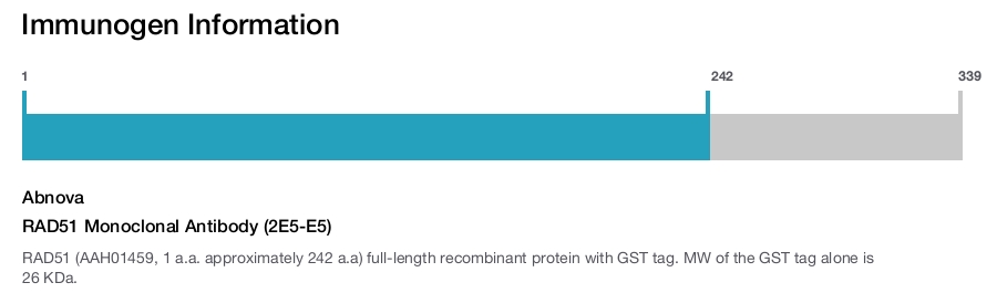 RAD51 Monoclonal Antibody (2E5-E5)