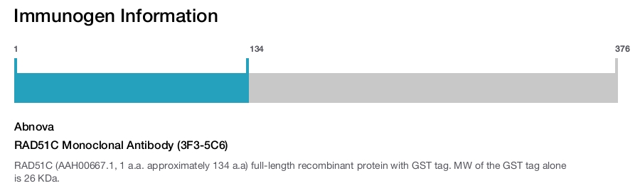 RAD51C Monoclonal Antibody (3F3-5C6)