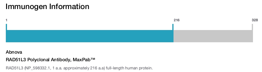 RAD51L3 Polyclonal Antibody, MaxPab™