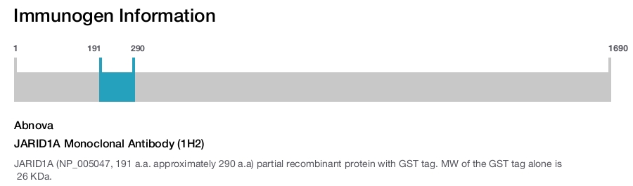 JARID1A Monoclonal Antibody (1H2)