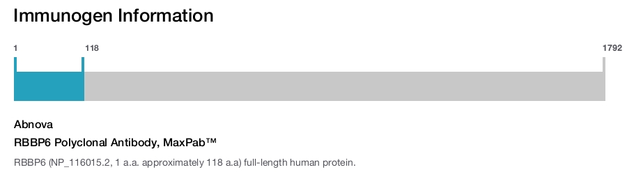 RBBP6 Polyclonal Antibody, MaxPab™