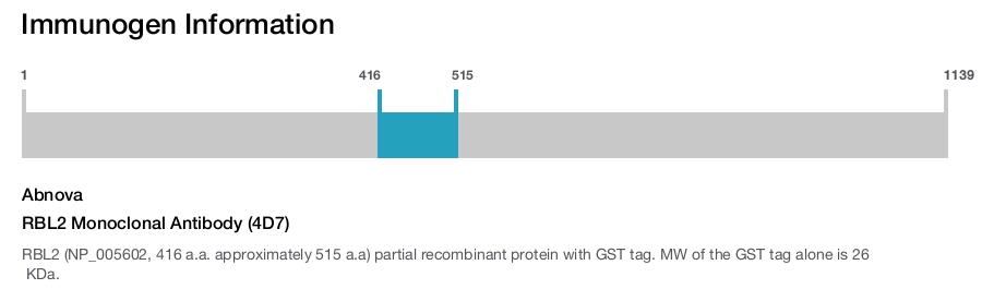 RBL2 Monoclonal Antibody (4D7)
