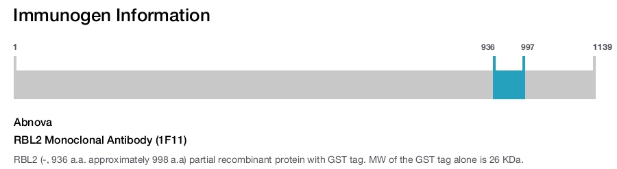 RBL2 Monoclonal Antibody (1F11)