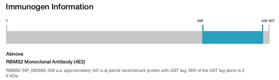 RBMS2 Monoclonal Antibody (4E2)