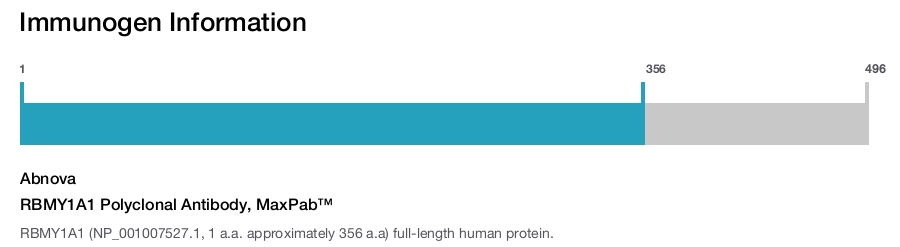 RBMY1A1 Polyclonal Antibody, MaxPab™