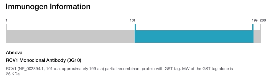 RCV1 Monoclonal Antibody (3G10)