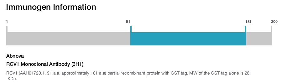 RCV1 Monoclonal Antibody (3H1)
