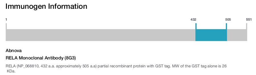 RELA Monoclonal Antibody (8G3)