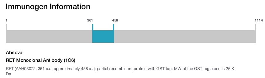 RET Monoclonal Antibody (1C6)