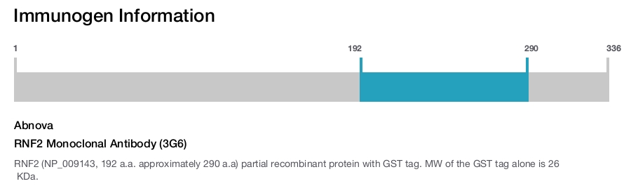 RNF2 Monoclonal Antibody (3G6)