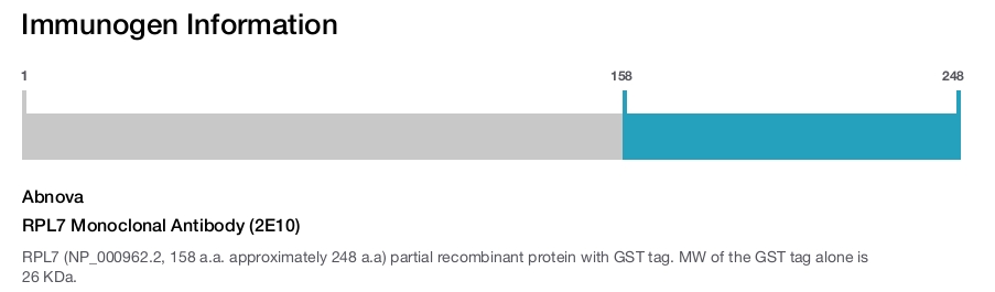 RPL7 Monoclonal Antibody (2E10)