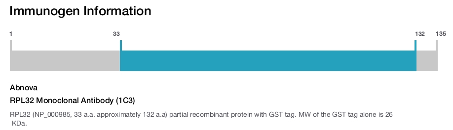 RPL32 Monoclonal Antibody (1C3)