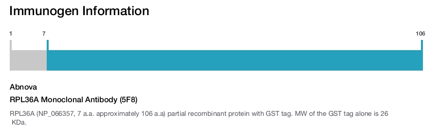 RPL36A Monoclonal Antibody (5F8)