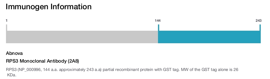 RPS3 Monoclonal Antibody (2A8)