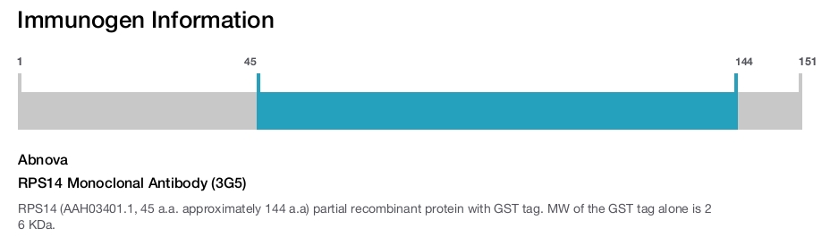RPS14 Monoclonal Antibody (3G5)
