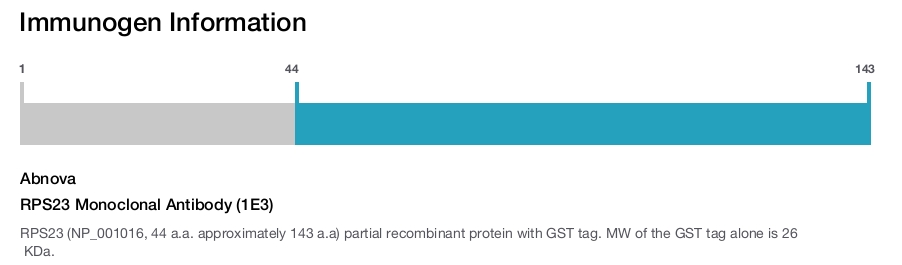 RPS23 Monoclonal Antibody (1E3)