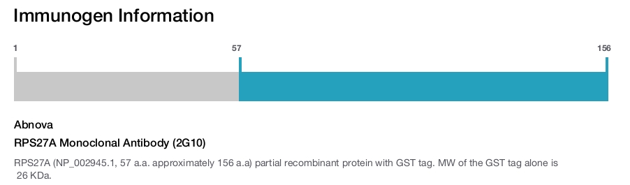 RPS27A Monoclonal Antibody (2G10)