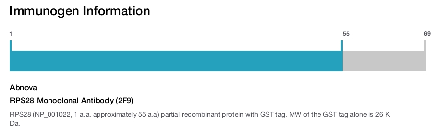 RPS28 Monoclonal Antibody (2F9)