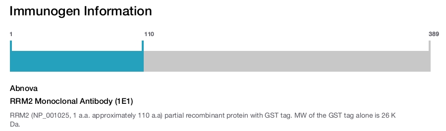 RRM2 Monoclonal Antibody (1E1)