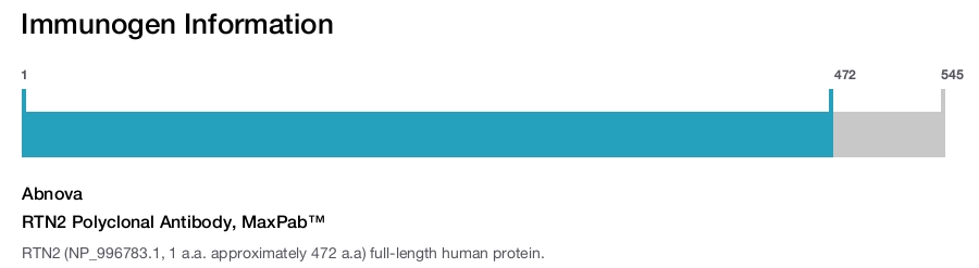 RTN2 Polyclonal Antibody, MaxPab™