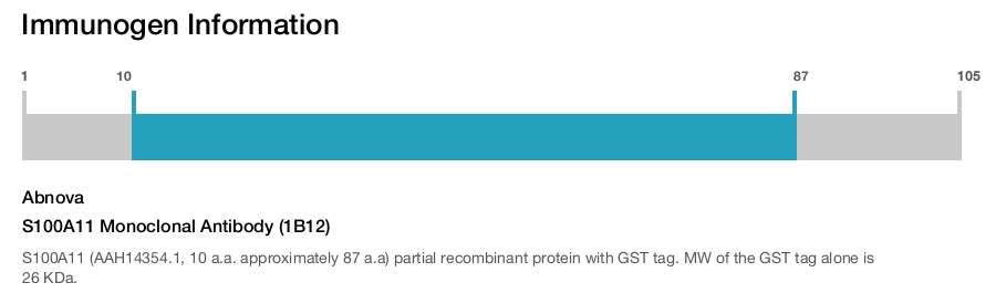 S100A11 Monoclonal Antibody (1B12)