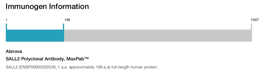 SALL2 Polyclonal Antibody, MaxPab™