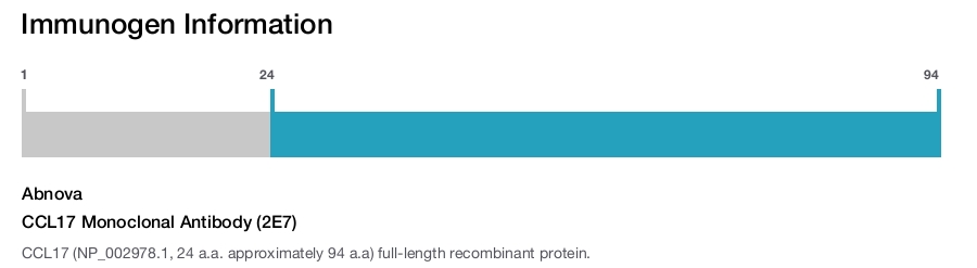 CCL17 Monoclonal Antibody (2E7)