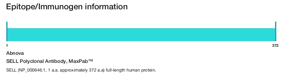 SELL Polyclonal Antibody, MaxPab&trade;