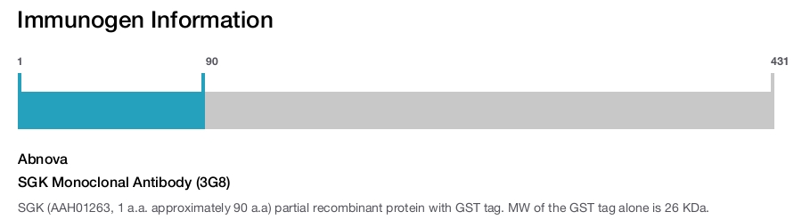 SGK Monoclonal Antibody (3G8)