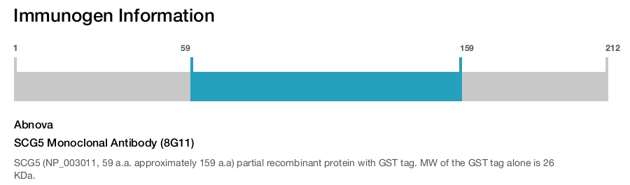 SCG5 Monoclonal Antibody (8G11)