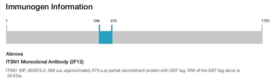 ITSN1 Monoclonal Antibody (2F12)