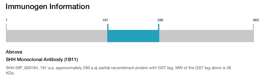 SHH Monoclonal Antibody (1B11)