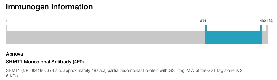 SHMT1 Monoclonal Antibody (4F9)