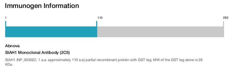 SIAH1 Monoclonal Antibody (2C5)