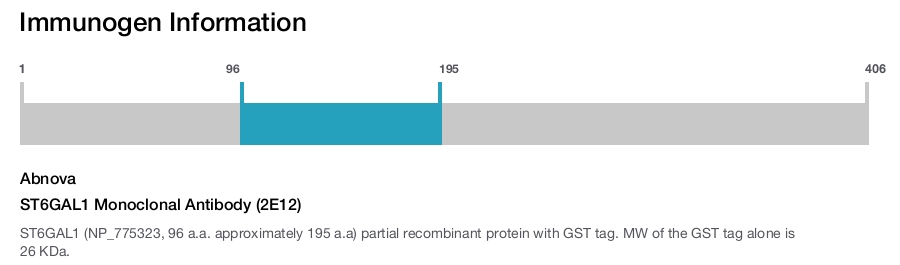 ST6GAL1 Monoclonal Antibody (2E12)
