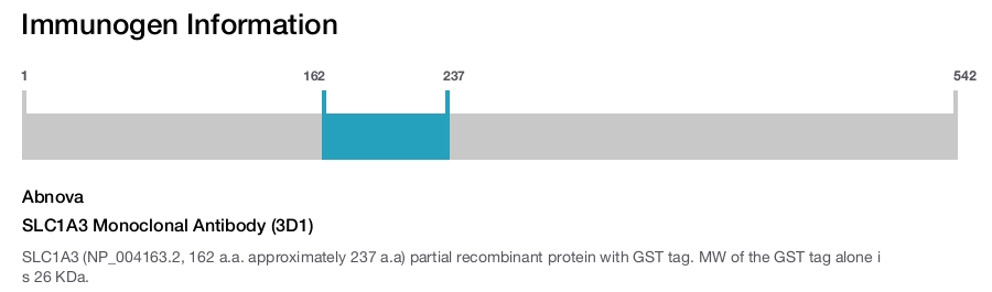 SLC1A3 Monoclonal Antibody (3D1)