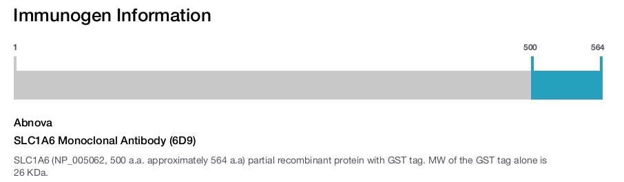 SLC1A6 Monoclonal Antibody (6D9)