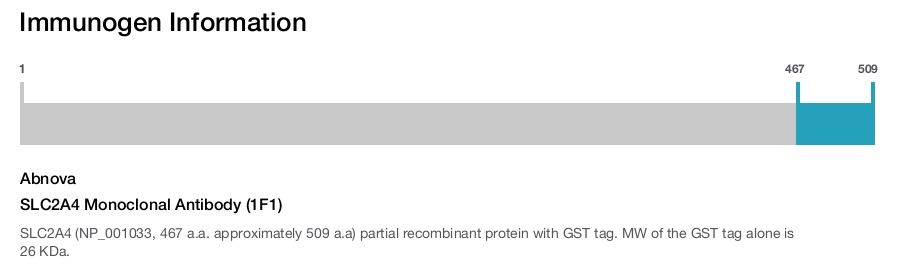 SLC2A4 Monoclonal Antibody (1F1)