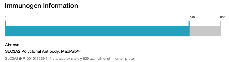 SLC3A2 Polyclonal Antibody, MaxPab&trade;