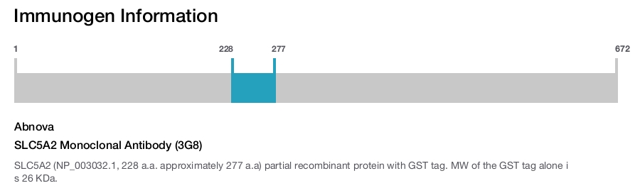 SLC5A2 Monoclonal Antibody (3G8)