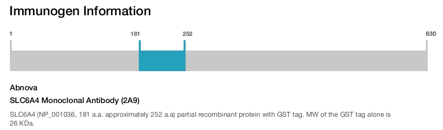 SLC6A4 Monoclonal Antibody (2A9)