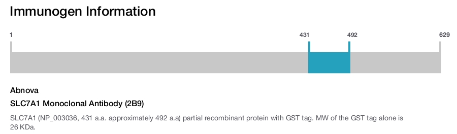 SLC7A1 Monoclonal Antibody (2B9)