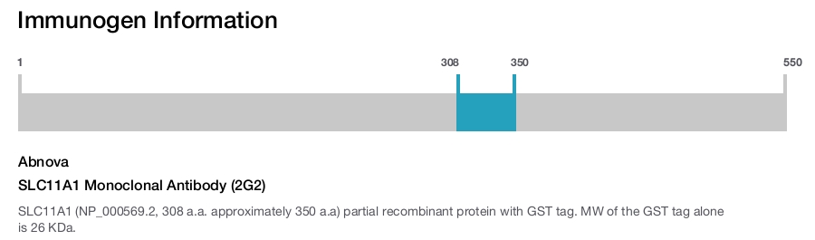 SLC11A1 Monoclonal Antibody (2G2)