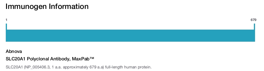 SLC20A1 Polyclonal Antibody, MaxPab™