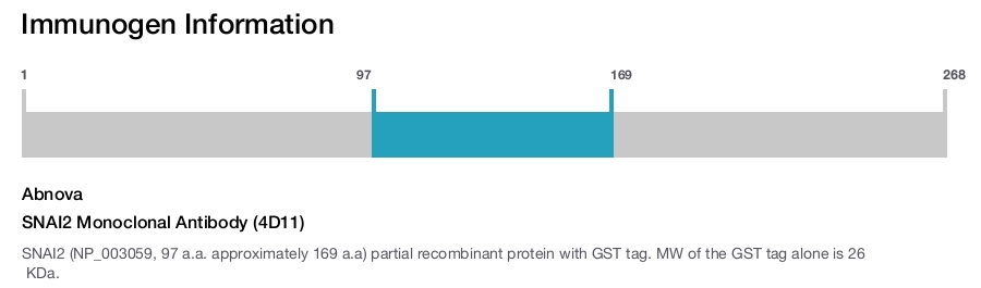 SNAI2 Monoclonal Antibody (4D11)
