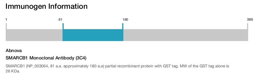 SMARCB1 Monoclonal Antibody (3C4)