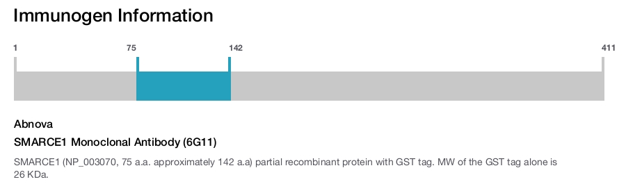 SMARCE1 Monoclonal Antibody (6G11)
