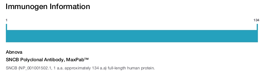 SNCB Polyclonal Antibody, MaxPab™