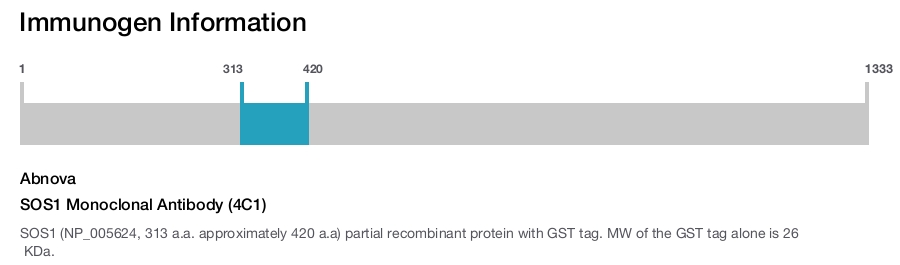 SOS1 Monoclonal Antibody (4C1)